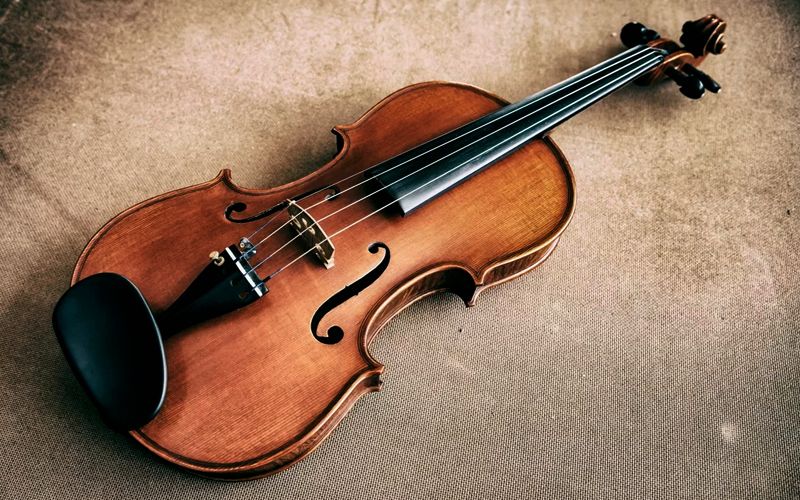バイオリンの画像